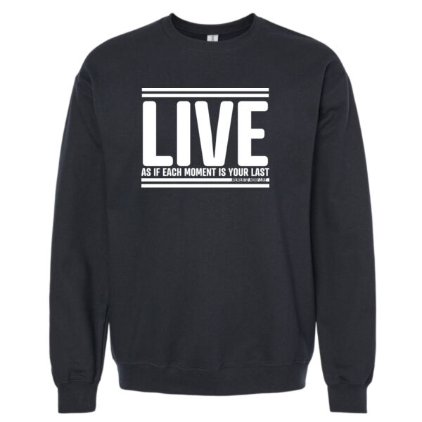 Softstyle Sweatshirt Thumbnail